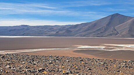 ENAMI says China antitrust review of Rio Tinto lithium project delayed