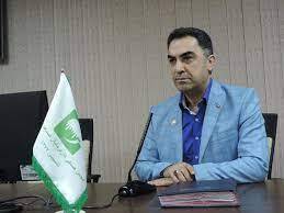 سیمانی‌ها هم فقط چراغشان روشن است/ تولید و توزیع متوقف شد