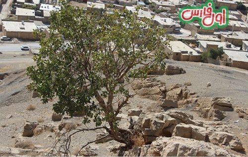 معدن سنگ شگفت انگیز هخامنشیان برای ساخت تخت جمشید