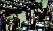 تشکیل سازمان بازرگانی نظارت نمایندگان مجلس را از بین می‌برد/ مخالفت جدی نمایندگان