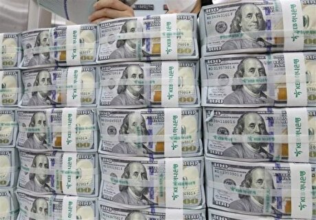 قیمت ارز هم عامل تورم و هم تابع آن است