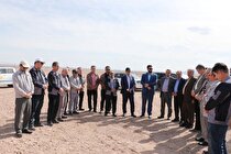 آغاز عملیات اجرایی احداث نیروگاه ۶۰ مگاواتی برق خورشیدی شرکت آلومینای ایران