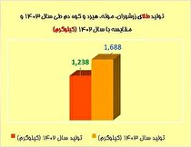 رشد چشمگیر تولید طلا در شرکت‌های زیرمجموعه ایمیدرو