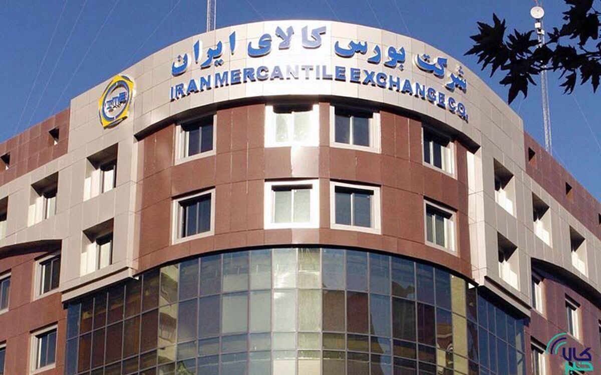 ۲۳۸ هزار تن محصول به دست خریداران رسید