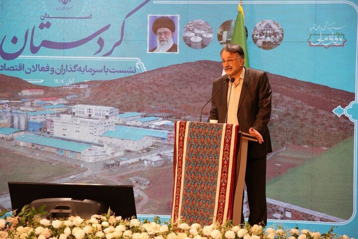بیگلری: سهم جوانان کردستان از معادن فقط کولبری است