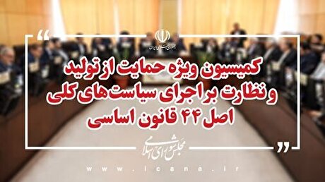 رسیدگی نهایی به دو طرح در کمیسیون ویژه حمایت از تولید