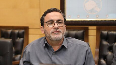 اجرای ضعیف قانون واردات خودرو به گرانی در بازار منجر شد/ می توان قیمت خودرو را کاهش داد