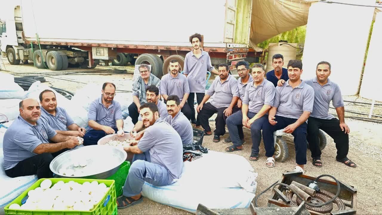 خدمت‌رسانی پرسنل شرکت آهن و فولاد ارفع در کربلای معلی