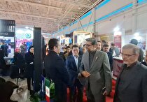 تأکید بر نقش محوری «مگفا» در تحول دیجیتال و هوشمندسازی صنعت