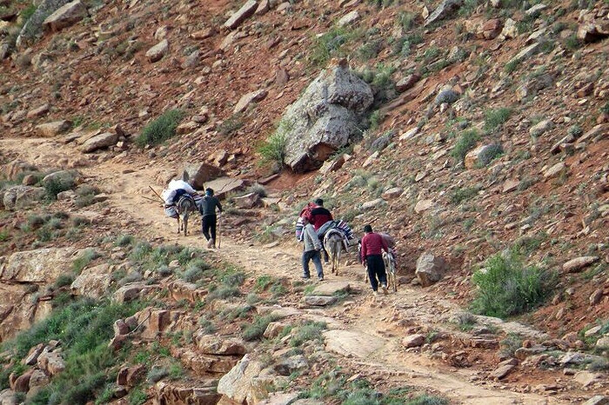 یک نفر در ریزش معدن آلبلاغ اسفراین جان باخت