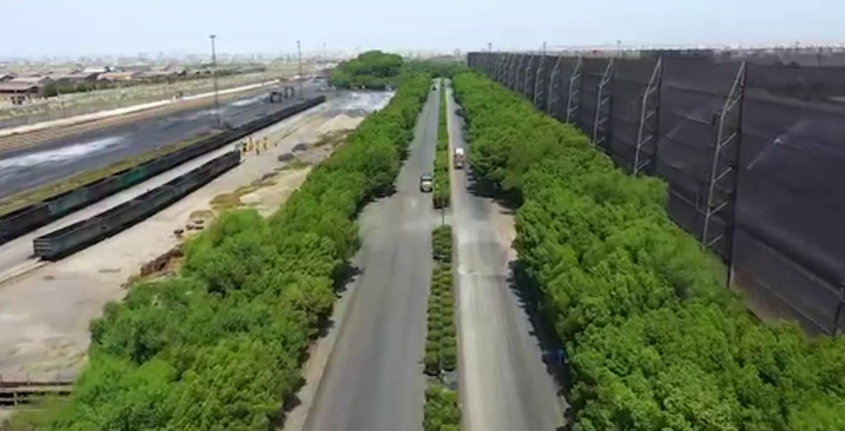 دیوار سبز صنعت در برابر غبار؛ ابرپروژه ویندفنسینگ فولاد خوزستان به بهره‌برداری رسید