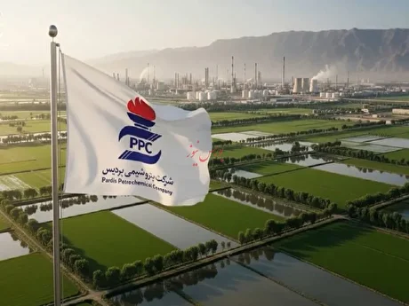 تحلیل ارقام مردادماه شپدیس